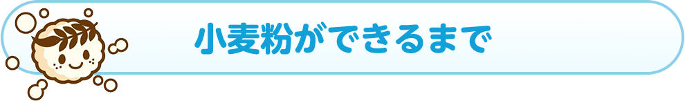 小麦粉ができるまで バーチャル工場見学 日清製粉グループ