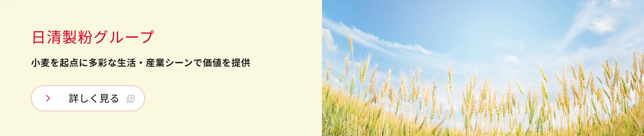 日清製粉グループ 小麦を起点に多彩な生活・産業シーンで価値を提供 詳しく見る