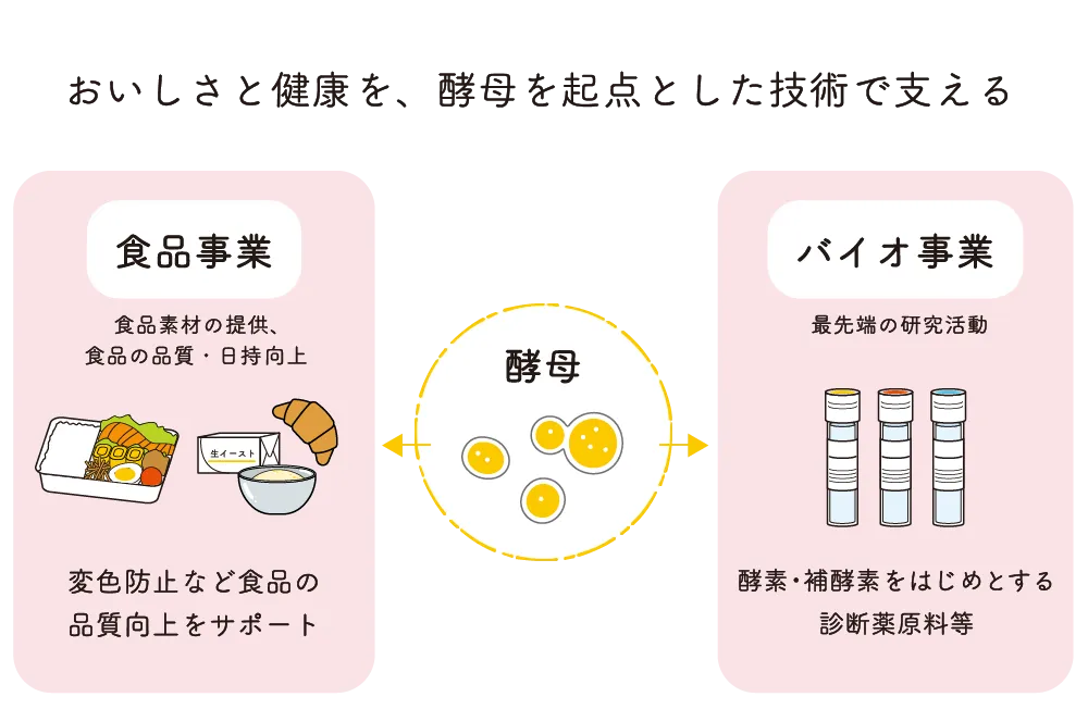 おいしさと健康を、酵母を起点とした技術で支える