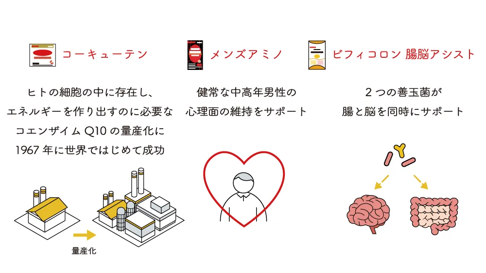 コーキューテン ヒトの細胞の中に存在し、エネルギーを作り出すのに必要なコエンザイムQ10の量産化に1967年に世界ではじめて成功 メンズアミノ 健常な中高年男性の心理面の維持をサポート ビフィコロン腸脳アシスト 2つの善玉菌が腸と脳を同時にサポート